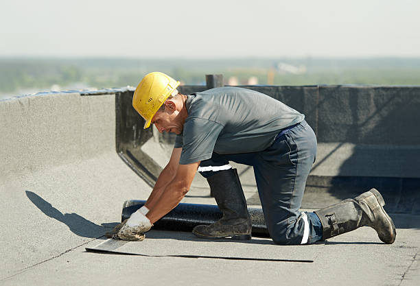Best Specialized Insulation Services in Glouster, OH